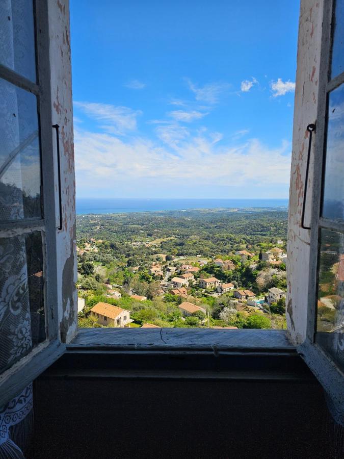 Palazzu Massoni, Magnifique Vue Sur La Mer Et La Montagne, Clim, Wifi, Parking Gratuit Cervione Eksteriør billede