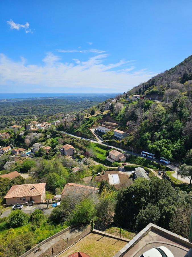 Palazzu Massoni, Magnifique Vue Sur La Mer Et La Montagne, Clim, Wifi, Parking Gratuit Cervione Eksteriør billede