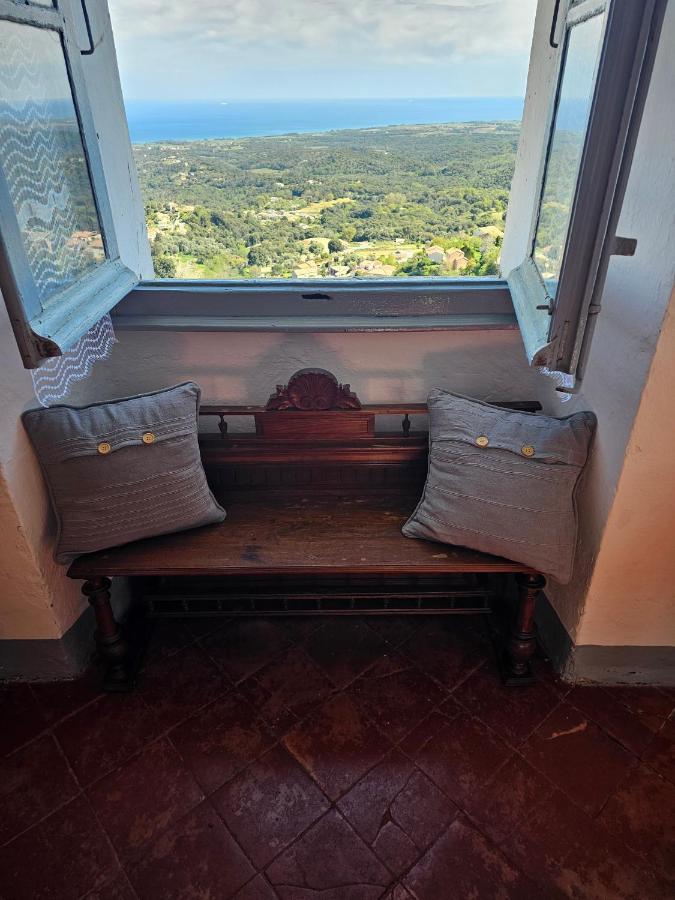 Palazzu Massoni, Magnifique Vue Sur La Mer Et La Montagne, Clim, Wifi, Parking Gratuit Cervione Eksteriør billede