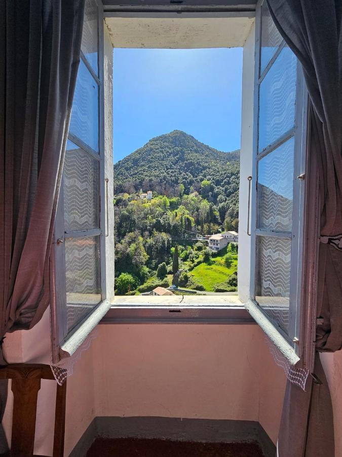 Palazzu Massoni, Magnifique Vue Sur La Mer Et La Montagne, Clim, Wifi, Parking Gratuit Cervione Eksteriør billede