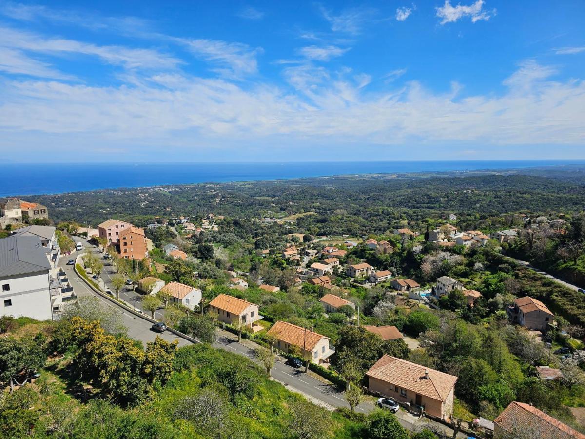 Palazzu Massoni, Magnifique Vue Sur La Mer Et La Montagne, Clim, Wifi, Parking Gratuit Cervione Eksteriør billede