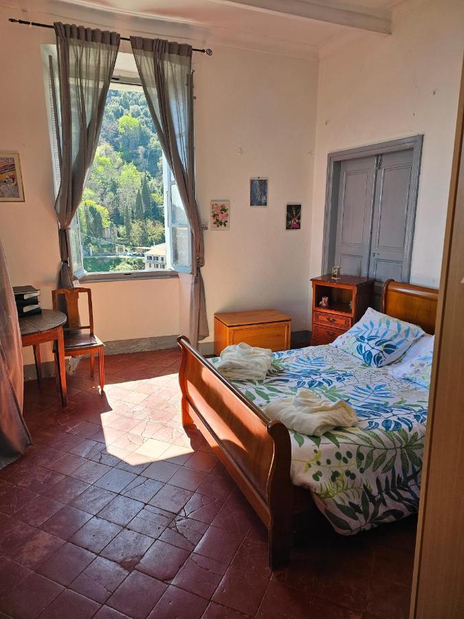 Palazzu Massoni, Magnifique Vue Sur La Mer Et La Montagne, Clim, Wifi, Parking Gratuit Cervione Eksteriør billede
