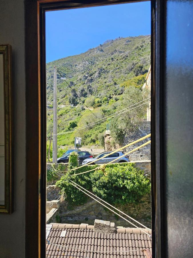 Palazzu Massoni, Magnifique Vue Sur La Mer Et La Montagne, Clim, Wifi, Parking Gratuit Cervione Eksteriør billede