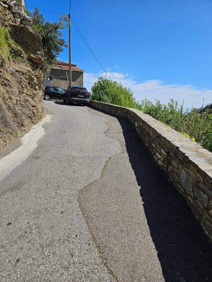 Palazzu Massoni, Magnifique Vue Sur La Mer Et La Montagne, Clim, Wifi, Parking Gratuit Cervione Eksteriør billede